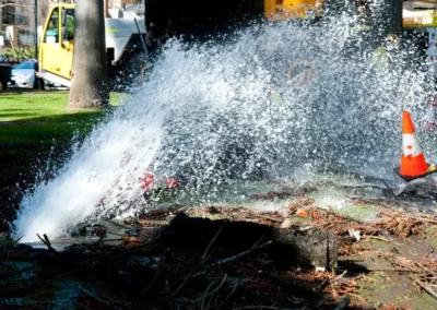 a customer had a pipe leak in his yard